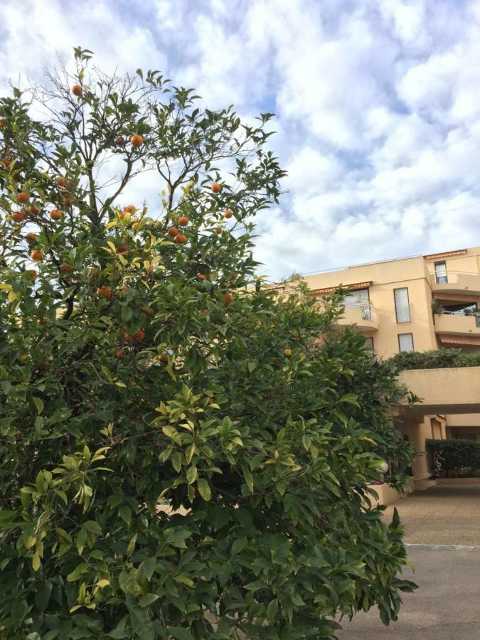 Les Orangers Apartment Saint-Raphael  Luaran gambar